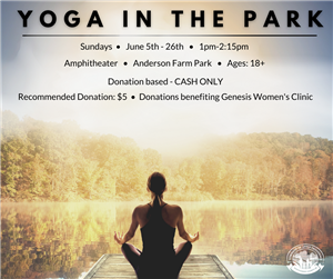 Yoga in the Park 2022