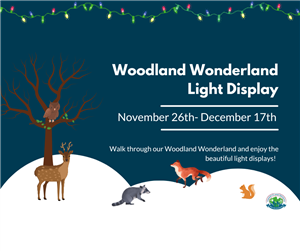 Woodland Wonderland 2022