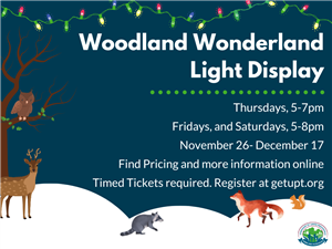 Woodland Wonderland 2022