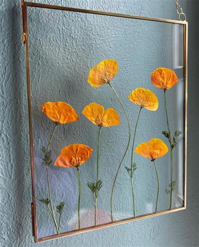 Pressed wall flower hanging